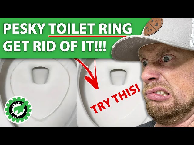 Toilet Bowl Ring??? TRY THIS!!!