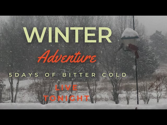 LIVE TONIGHT Severe Winter Cold. Let's Chat