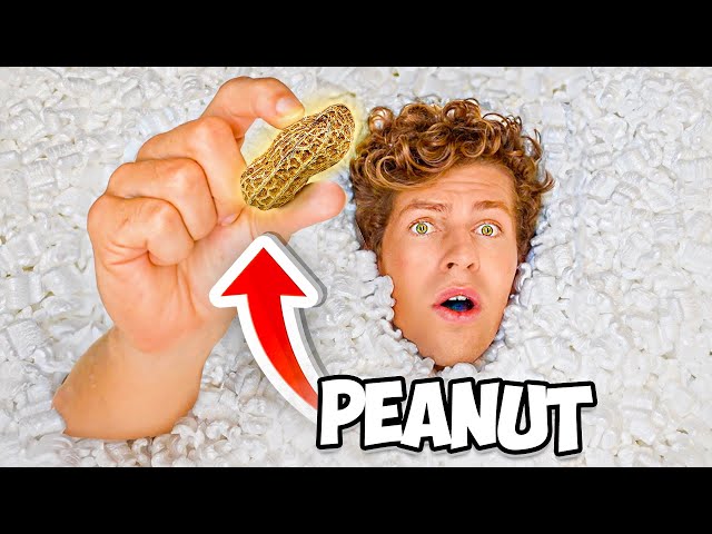 Find the REAL Peanut in 1,000,000 Packing Peanuts!