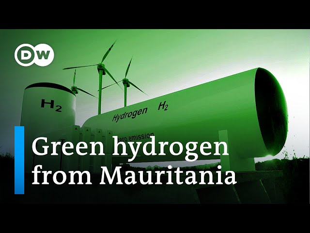Mauritania set to export green hydrogen to Germany | DW Business