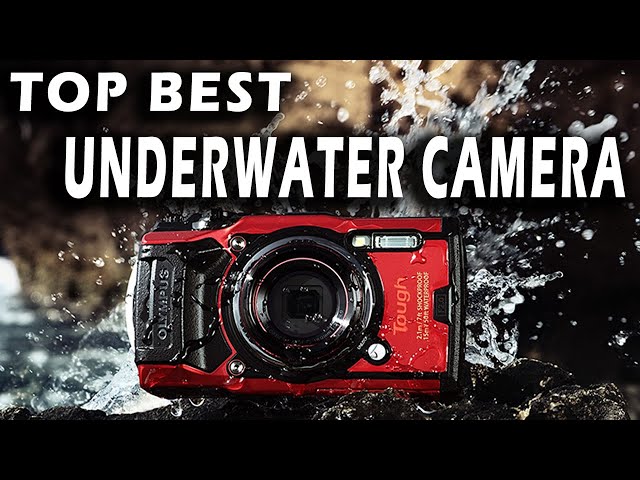Unveiling the Underwater World: Olympus Tough TG-6 Camera Review