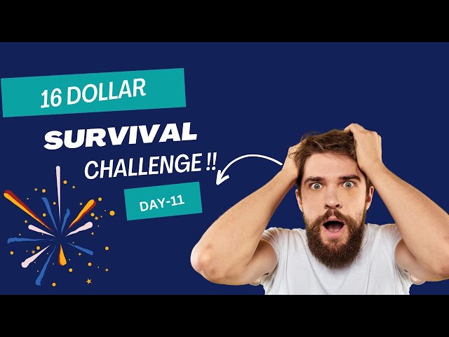 16 Dollars survival challenge|Day-11|How To Trade With small Amount|Trade with us