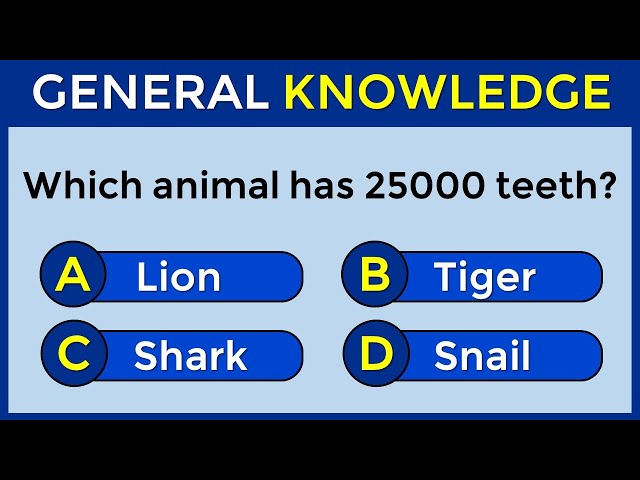 25 General Knowledge Questions! How Good Is Your General Knowledge? #challenge 13