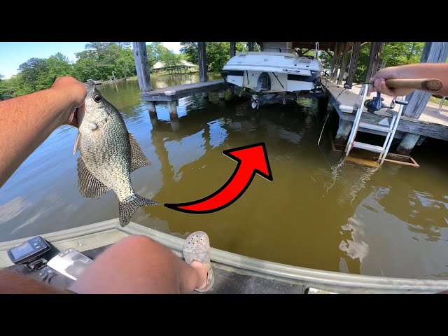 SHOOTING DOCKS FOR THICK SLAB CRAPPIE