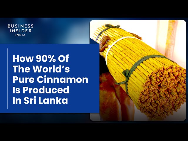 How 90% Of The World’s Pure Cinnamon Is Produced In Sri Lanka