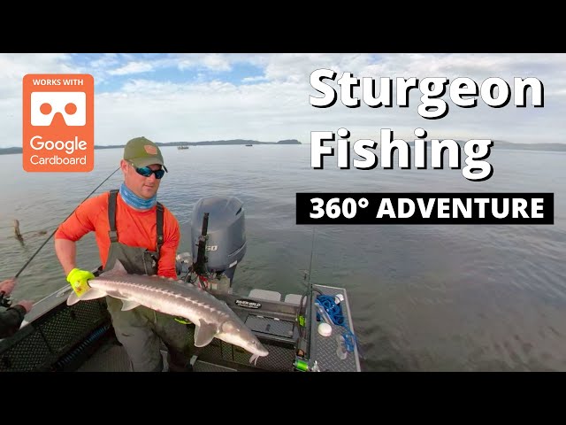 Sturgeon Fishing 360° Adventure
