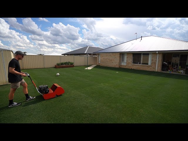 Taking My Lawn From 18mm-12mm (1/2") // Reel Low Perennial Ryegrass