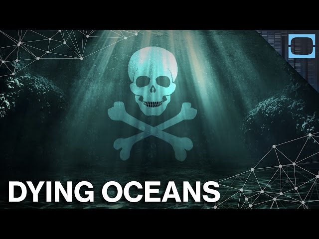 Is It Too Late To Save The Oceans?