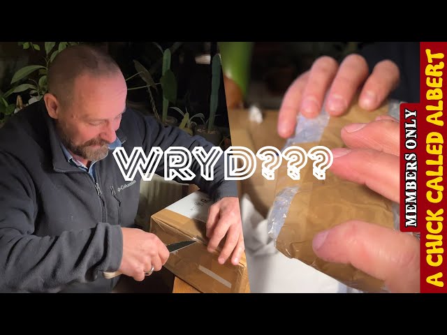 Mystery Egg delivery - WRYD episode 3