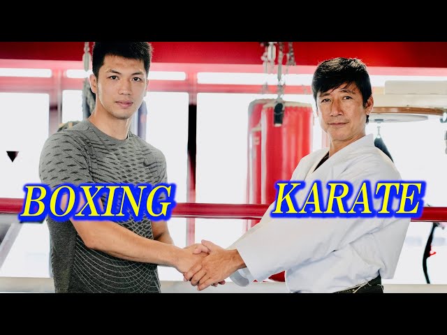 Is it possible to incorporate Karate into Boxing?【Ryota Murata・Tatsuya Naka】With various subtitles.
