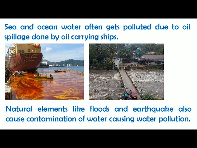 Water pollution essay in english | Paragraph on water pollution | Smart Learning Tube