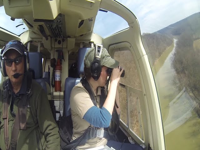 How KDFWR Uses Helicopters To Monitor Bald Eagles