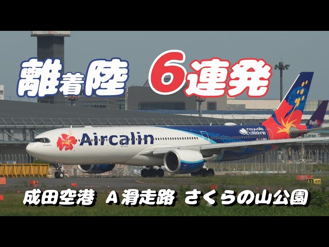 【4K】成田空港 さくらの山公園 離着陸する飛行機６連発