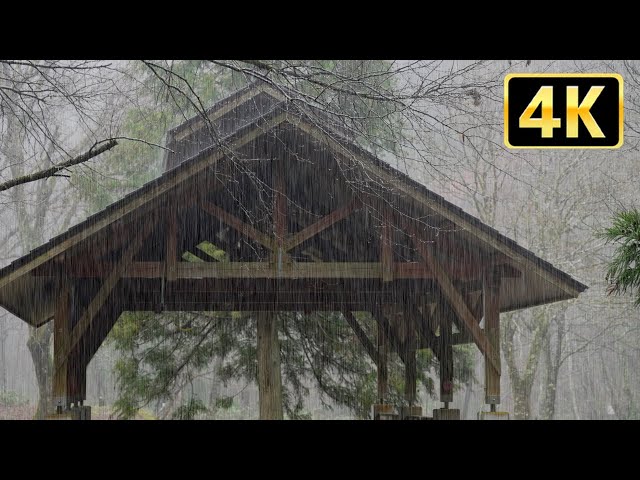 4K Sleep soundly Relax with the sound of rain 2 hours (for sleep)