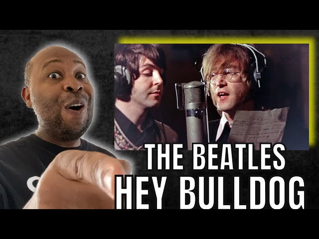 First Time Hearing | The Beatles - Hey Bulldog Reaction