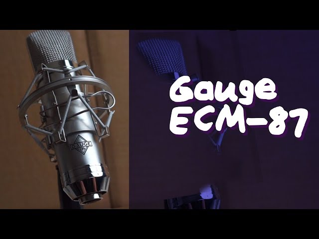 Gauge ECM-87 Large Diaphragm Condenser Microphone