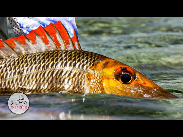 Ningaloo Reef - The Great Barrier Reef - Australia Fly Fishing by Todd Moen