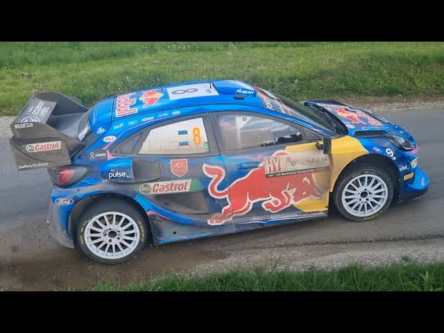 WRC Croatia Rally 2023 SS8 Pećurkovo Brdo - Mrežnički Novaki 2