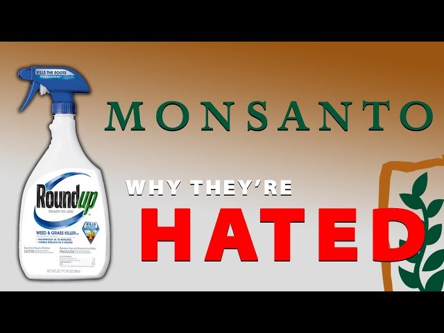 Monsanto - Why They're Hated