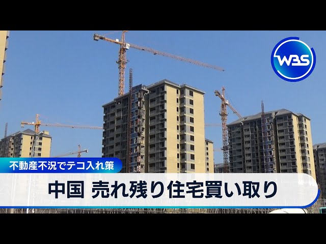 中国 売れ残り住宅買い取り　不動産不況でテコ入れ策【WBS】（2024年5月17日）