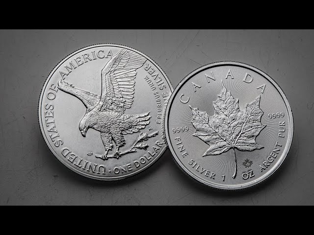 Silver Eagles vs Silver Maples: Which is Right for You?