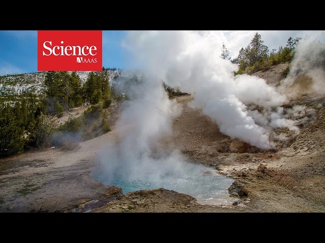 Two huge magma chambers spied beneath Yellowstone National Park