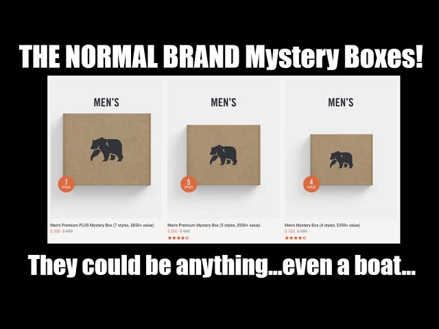 THE NORMAL BRAND Mystery Box | Unboxing and Try On | Puremeso Hoodie, Bomber Jacket, Flannel