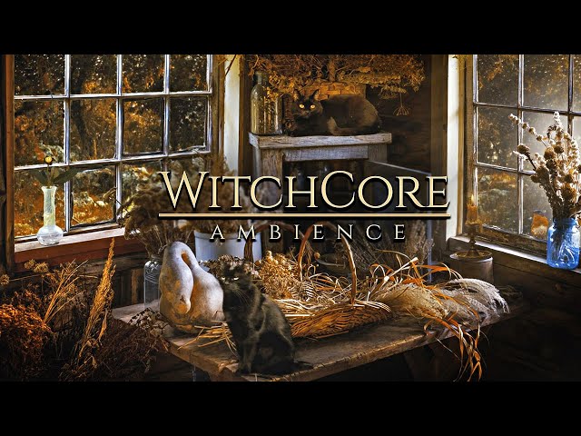 WitchCore ◈ Autumn Forest 🍂 Good Witch Cabin / Cats, Herbs, Light Rain + Soft Music