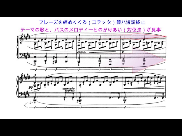 【楽譜解説】ベートーヴェン  「月光」 第1楽章　〜ソナタ形式の自由な応用〜　pf バックハウス