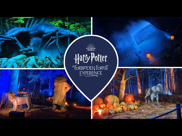HARRY POTTER A FORBIDDEN FOREST EXPERIENCE | CHESHIRE | VLOG | AXL AND SEAN