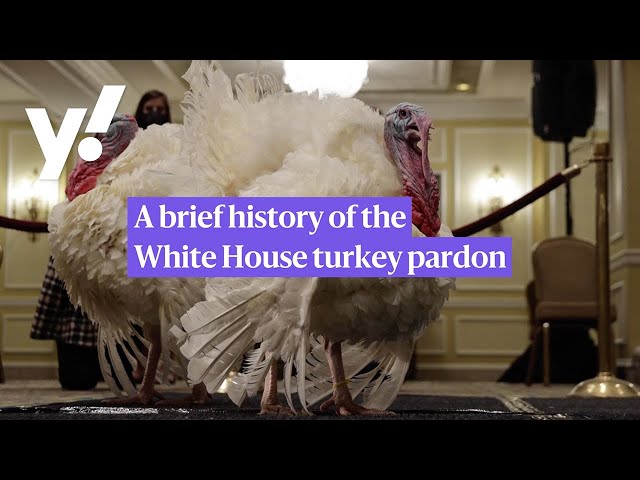 A brief history of the White House turkey pardon