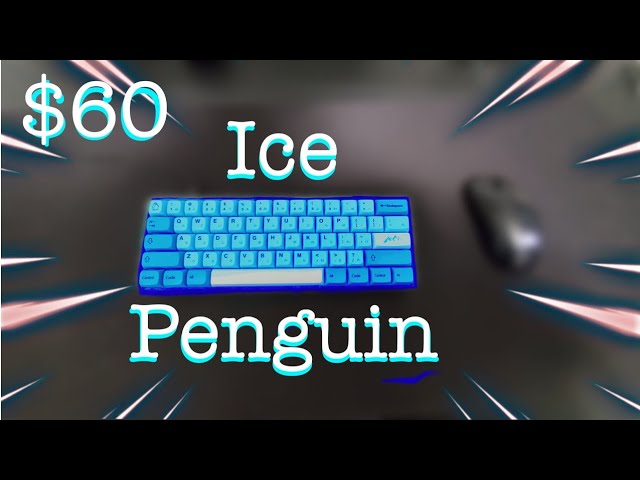 modding keyboard's until hipyo tech responds! ice penguin build❄️.