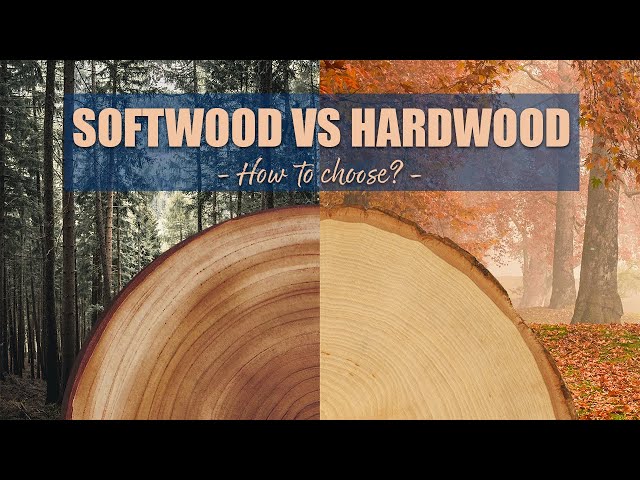 Softwood vs Hardwood - How to choose for WOODWORKING projects!