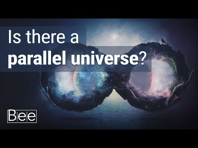 Have We Found a Parallel Universe?