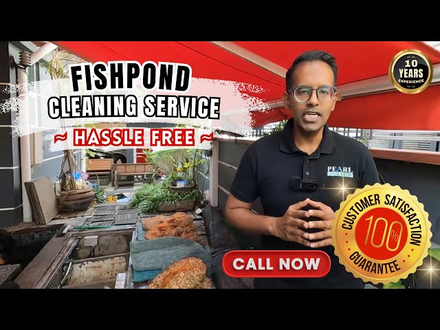 Professional Fishpond Cleaning and Maintenance Service | 100% Satisfaction Guarantee