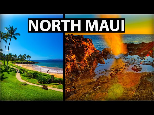 Exploring North Maui (Lahaina Town Eats and Honolua Bay Snorkeling)