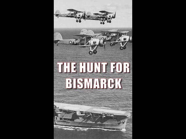 The Hunt for Bismarck #shorts #worldofwarships #warships  #history #ww2 #worldwarshipscombat