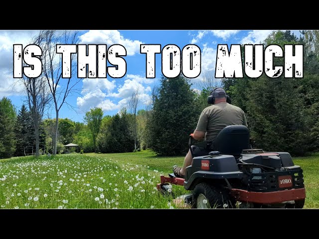How much is too much? Toro TimeCutter Zeroturn Grass Cutting