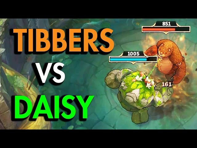 DAISY VS TIBBERS!