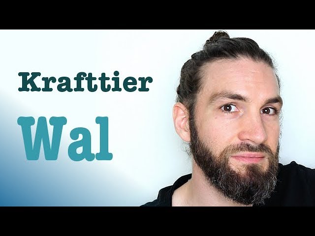 Krafttier Wal - Schamanismus mit Benjamin Maier