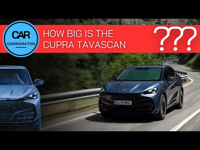 Cupra Tavascan | Dimensions compared to other cars in REAL scale!