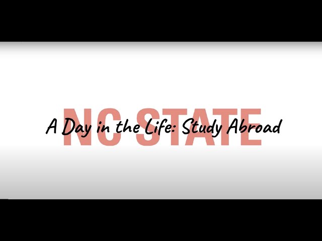 A Day in the Life: Study Abroad