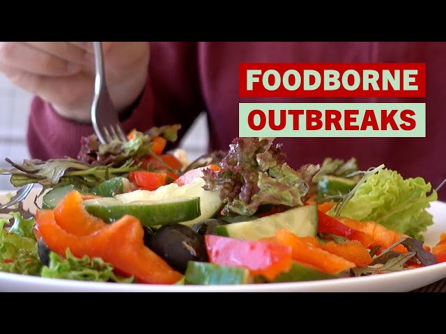 How FDA Investigates Foodborne Illness Outbreaks