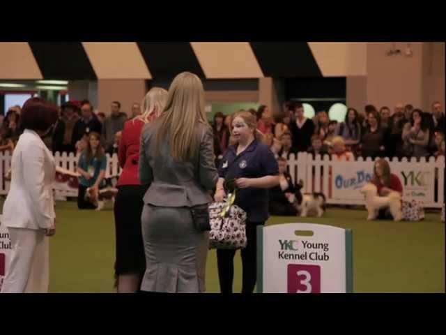 dfs Crufts 2011 - YKC Groomer of the Year