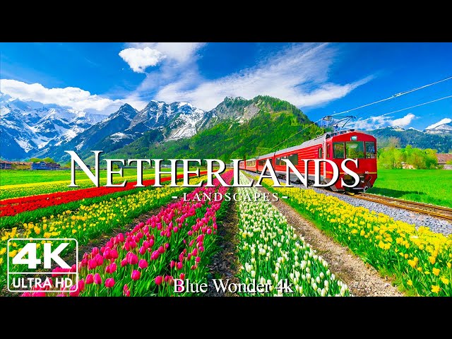 Netherlands 4k - Relaxing Music With Beautiful Natural Landscape - Amazing Nature