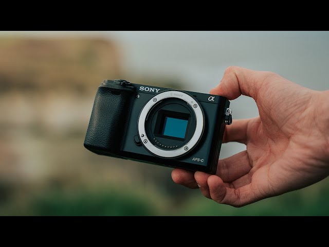 SONY A6000 in 2024 | Still WORTH it after 10 years?