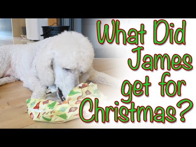 What Did James get for Christmas?