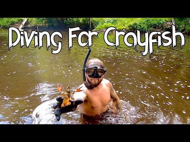 Spicy Crayfish Catch & Cook in the Woods