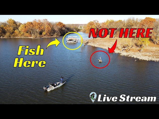 Every Bass Angler Needs To Know The Difference Between These Types of Cover | FTM Livestream #122
