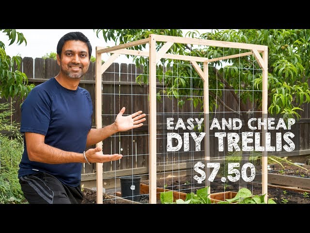 How to Make Easy and Cheap Trellis
